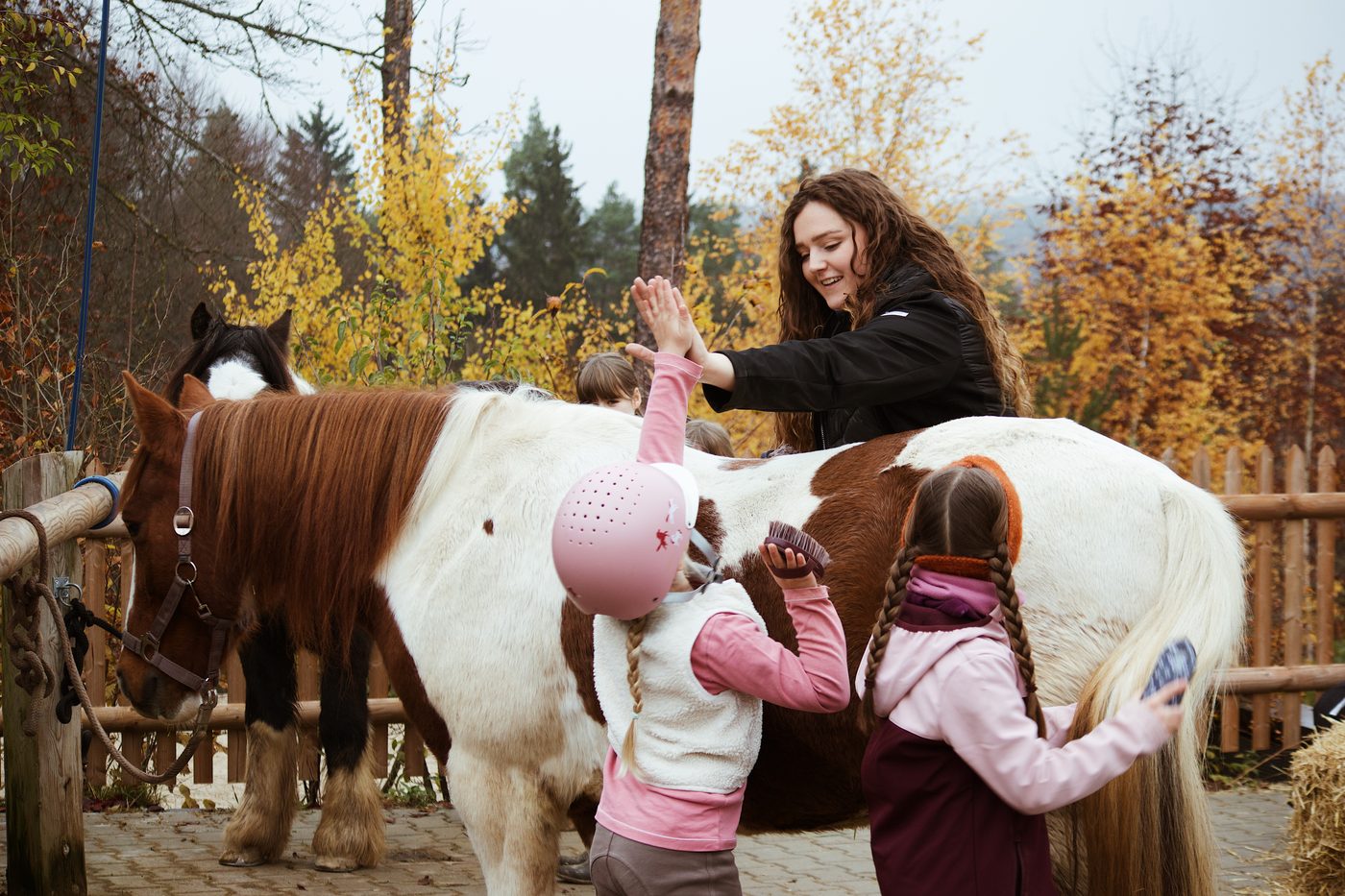 Kleines Kind mit Reithelm wird auf dem Martinshof am Pony begrüßt
